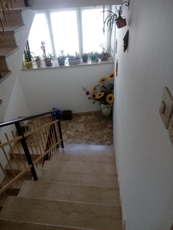 Casa Trettel Daire Tesero Dış mekan fotoğraf